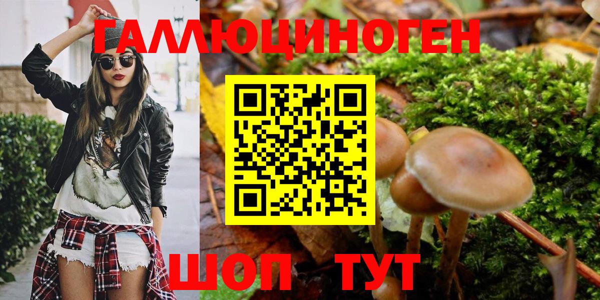 Галлюциногенные грибы Psilocybine cubensis  Галлюциногенные грибы GOLDEN TEACHER  Вход с VPN  Новокубанск 